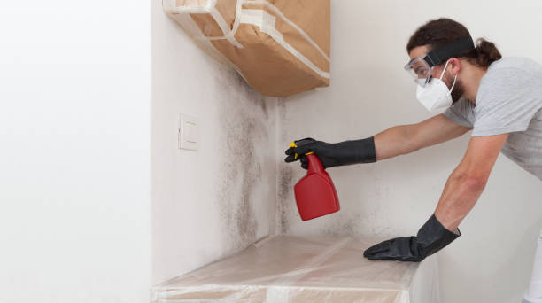 Professional Bathroom Mold Removal technician working in Buckley, WA