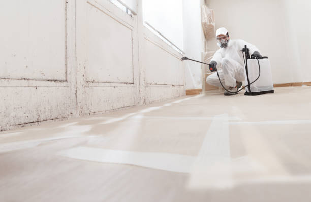 24/7 Emergency Bathroom Mold Removal experts in Buckley, WA